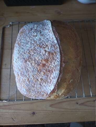 A freshly baked rustic loaf of bread rests on a cooling rack. Its crust is golden brown with a dusting of flour and a crackly texture.