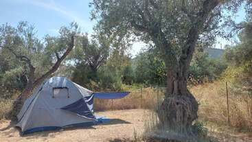 L'image représente une tente grise située dans une clairière, entourée d'arbres et d'une clôture, avec une bâche bleue attachée au côté de la tente.