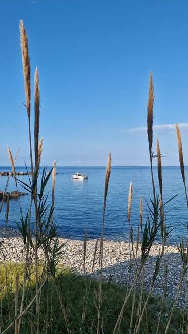 Tall grass in the foreground, pebbled beach, and calm blue sea with a boat floating peacefully under a clear, sunny sky. Serene coastal scene.