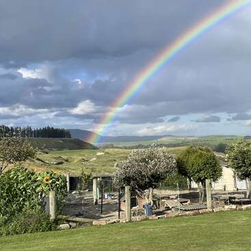 A vibrant rainbow arcs across a cloudy sky above a lush green landscape, garden, and trees, creating a serene, colorful scene after the rain.