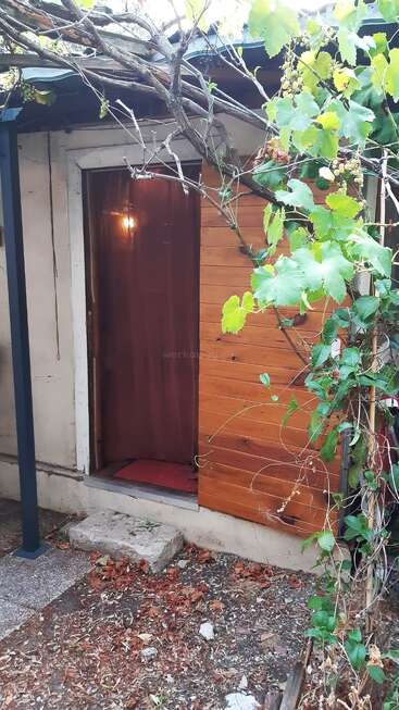 A rustic wooden door partially open, revealing light inside. Overhead, grapevine branches with green leaves hang down. Dry leaves and stones cover the earthy ground.