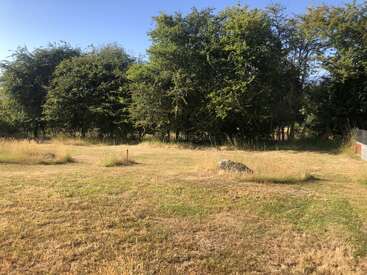 A sunlit, open grassy field with scattered rocks and tall dry grass, bordered by dense green trees under a clear blue sky on a peaceful day.