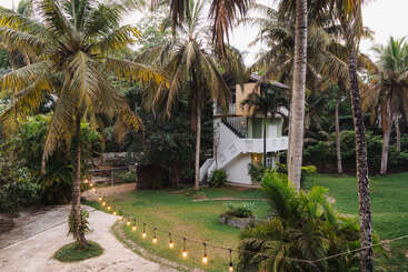 Un jardin tropical avec de grands palmiers, une pelouse verte luxuriante et des guirlandes lumineuses. Une maison confortable à deux étages avec un escalier se niche confortablement parmi une végétation dense.