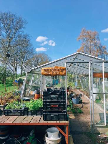 Unter strahlend blauem Himmel steht ein Gewächshaus, umgeben von Bäumen. Setzlinge, Töpfe und Gartengeräte sind ordentlich angeordnet und schaffen eine friedliche, produktive Gartenatmosphäre.
