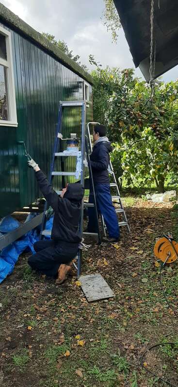 Zwei warm angezogene Personen streichen die Außenwand eines grünen Holzhauses. Eine kniet und streicht mit einer Rolle, während die andere die Leiter festhält.