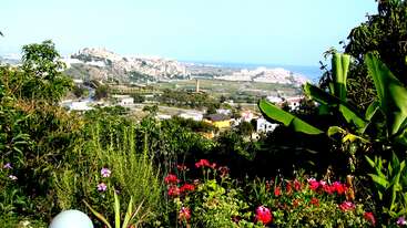 A imagem mostra um jardim cheio de vida, com flores coloridas e vegetação exuberante em primeiro plano, com vista para um vale pitoresco, colinas distantes e o mar ao fundo.