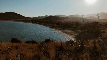 La imagen representa un paisaje sereno con una masa de agua, vegetación exuberante y un cielo despejado, que evoca una sensación de tranquilidad y belleza natural. Es probable que se trate de un lago o un océano.