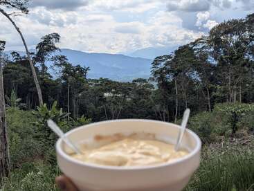 Un cuenco de cremosa comida con dos cucharas se sostiene en primer plano, con vistas a un frondoso bosque verde y lejanas montañas azules bajo un cielo nublado.