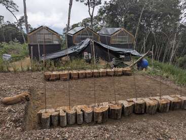 Tres pequeñas estructuras en forma de cabaña con tejados negros se alzan entre los árboles. Delante, unos troncos bordean una zona rectangular de tierra con palos, y un perro marrón yace cerca.
