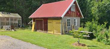A small rustic shed with a red roof sits beside a wooded area. Nearby are a greenhouse, picnic table, young tree, and neatly trimmed lawn.