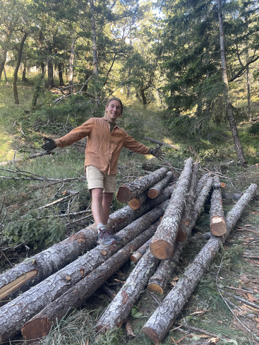 A person wearing gloves and outdoor clothes stands on a pile of freshly cut logs in a forest, smiling, surrounded by tall green trees and sunlight.