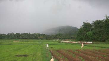 The image depicts a serene landscape with a body of water, featuring a grassy area and trees, evoking a sense of tranquility and natural beauty. The scene is peaceful and idyllic.