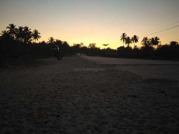 The image depicts a serene sunset scene featuring a road, palm trees, and a motorcycle, with a bird flying overhead, set against a vibrant sky.