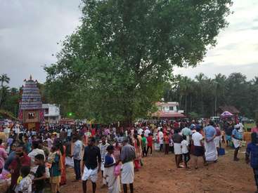 The image depicts a vibrant outdoor gathering, with a crowd of people congregated around a large tree and a colorful temple structure in the background.