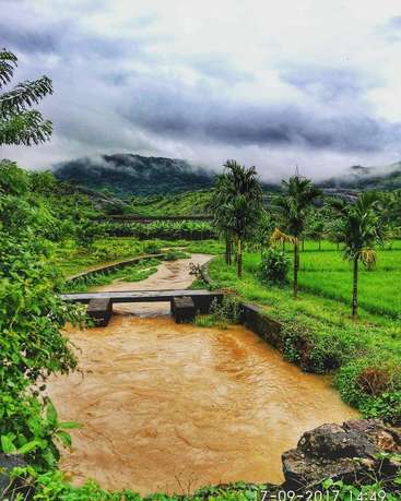 The image depicts a serene landscape with a brown river flowing through lush greenery, surrounded by palm trees and a mountainous backdrop under a cloudy sky.