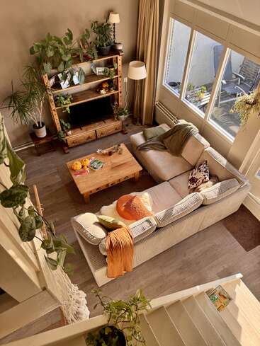 Gemütliches Wohnzimmer mit großen Fenstern, L-förmigem Sofa, Couchtisch aus Holz, Regal mit Pflanzen, Lampen und Deko. Warmes Sonnenlicht durchflutet den einladenden Raum in Erdtönen.