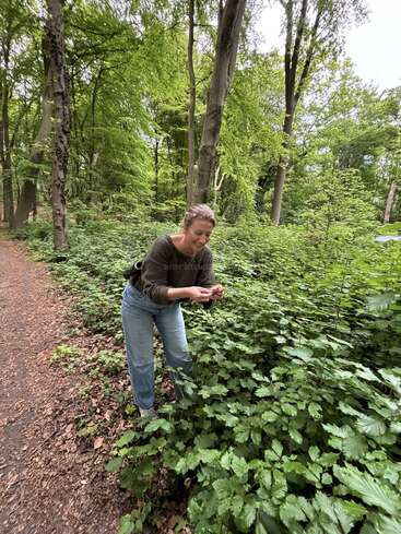 Eine Frau steht in einem üppig grünen Wald, lächelt und betrachtet Pflanzen. Sie trägt einen Pullover und Jeans und ist von dichtem Laubwerk entlang eines Waldweges umgeben.