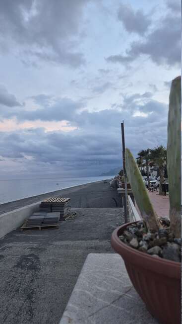 Ein wolkenverhangener Himmel hängt über einer ruhigen Strandpromenade, die von Palmen und geparkten Autos gesäumt ist. Im Vordergrund ein Kaktus, daneben ein Stapel Fliesen. Friedliche Atmosphäre.