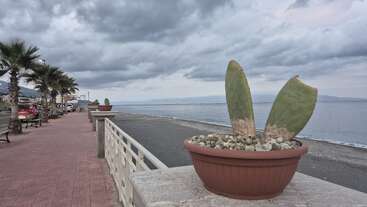 Eine mit Palmen, Bänken und Kakteen gesäumte Küstenpromenade überblickt das ruhige Meer unter einem wolkenverhangenen Himmel und schafft eine heitere, leicht stimmungsvolle Atmosphäre.