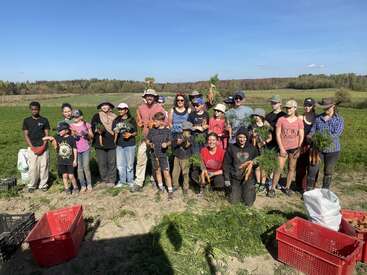 A diverse group of people, including children and adults, stands in a sunny field holding freshly harvested carrots, smiling and celebrating a successful day of farming.