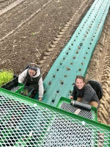 Two women are planting seedlings in a field, sitting on a green planter machine. Rows of young plants and freshly tilled soil stretch out behind them.