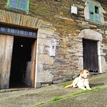 The image depicts a dog sitting on the ground in front of a rustic stone building with wooden doors and windows, featuring a weathered facade.