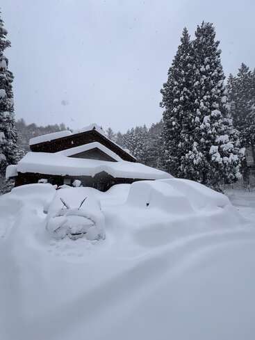 Ein Haus und Autos sind fast vollständig unter tiefem Schnee begraben. Hohe Bäume umgeben die Szene, und vom bewölkten Himmel fällt weiterhin Schnee.