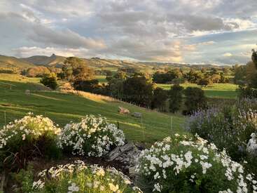 Colinas verdes onduladas se estendem sob um céu espetacular com nuvens esparsas. Flores brancas desabrocham em primeiro plano, árvores pontilham a paisagem e montanhas se erguem ao longe.
