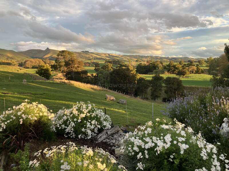 Colinas verdes onduladas se estendem sob um céu espetacular com nuvens esparsas. Flores brancas desabrocham em primeiro plano, árvores pontilham a paisagem e montanhas se erguem ao longe.