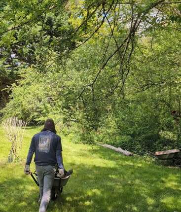 Una persona con guantes de jardinería empuja una carretilla por una zona cubierta de césped y bañada por el sol, rodeada de frondosos árboles, ramas y naturaleza, mientras disfruta de un tranquilo trabajo al aire libre.