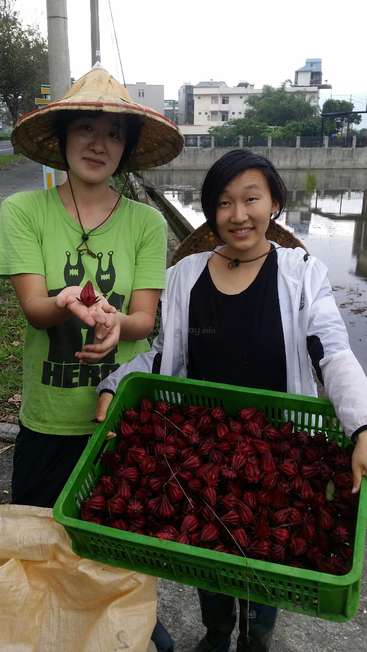 Two women stand together, one wearing a straw hat and holding a red flower bud, the other holding a green basket of red flowers, with a body of water and buildings in the background.