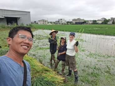 Four people are smiling and posing for a photo in a lush, green rice paddy field. They are standing in water, holding rice plants.