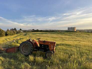 Un tracteur rouge est à l'arrêt dans un vaste champ verdoyant, sous un ciel bleu limpide, tandis que des arbres au loin, des bâtiments et une douce lumière du soleil illuminent le paysage.