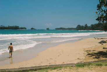 A man walks along a sandy beach under a clear blue sky. Gentle waves roll in, with lush green trees in the distant background. Peaceful scene.