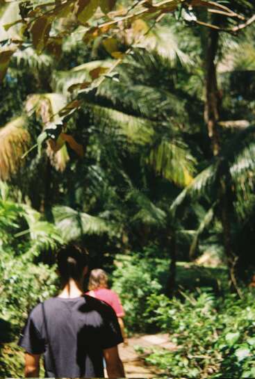 Two people are walking along a lush, green path surrounded by tropical vegetation and palm trees, enveloped in sunlight, exploring nature on a warm, bright day.