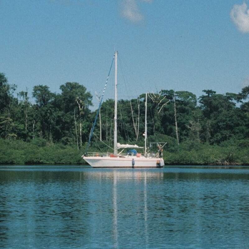 Ein Segelboot treibt friedlich auf einem ruhigen, blauen Fluss, umgeben von üppig grünen Bäumen unter einem klaren Himmel mit vereinzelten weißen Wolken, und strahlt Ruhe aus.