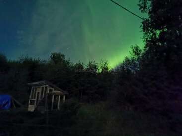 Des aurores vertes dansent dans le ciel nocturne au-dessus d'arbres denses et d'une petite cabane en bois, créant une atmosphère magique et sereine dans la nature.