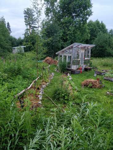 Une petite serre se dresse dans un jardin verdoyant entouré de grands arbres. Il y a des tas de foin, des plantes envahies par la végétation et une atmosphère paisible et rurale.