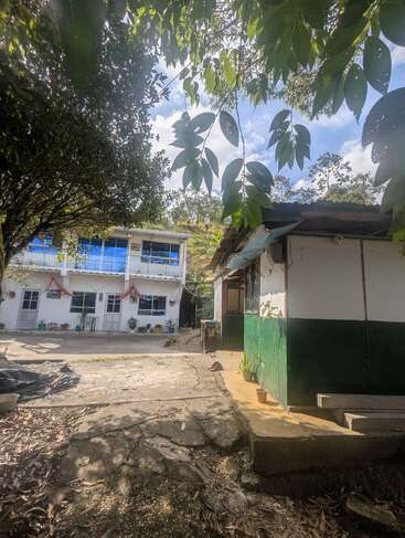 Esta imagem mostra um ambiente rural com dois edifícios, um branco com janelas azuis, folhagem verde exuberante acima, vasos de plantas e a luz do sol projetando sombras naturais.