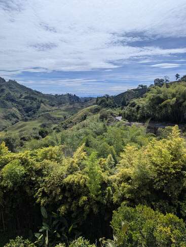 Colinas verdejantes sob um céu parcialmente nublado criam uma paisagem serena. A vegetação densa cobre o primeiro plano, com montanhas e árvores distantes completando a cena natural.
