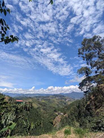 Un paysage époustouflant de collines verdoyantes, de maisons éparses et d'un vaste ciel bleu avec des nuages blancs, encadré d'arbres et de feuillages éclatants.