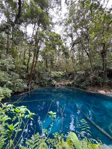 Ein leuchtend blauer, kristallklarer Teich ist von einem üppigen, dichten grünen Wald umgeben. Das Sonnenlicht fällt durch die hohen Bäume und spiegelt sich auf der ruhigen Wasseroberfläche. Gelassene Natur.