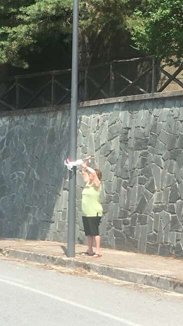 Una mujer, de pie en una acera junto a un muro de piedra, sostiene a un pequeño perro blanco hacia un poste de la farola, aparentemente ayudándolo o interactuando con él.