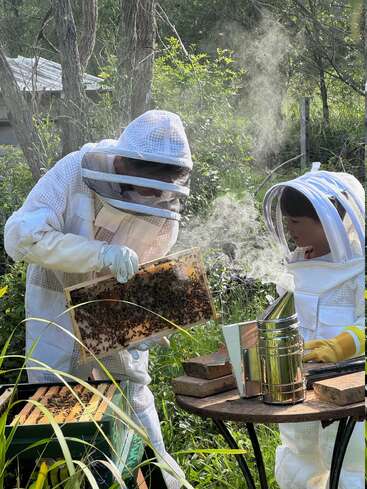 Deux personnes vêtues de combinaisons de protection pour apiculteurs examinent un cadre de ruche recouvert d'abeilles, tandis que la fumée d'un enfumoir s'élève à côté d'eux dans un cadre verdoyant et luxuriant.