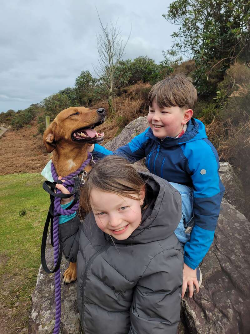 L'image représente deux enfants et un chien assis sur un rocher dans un champ herbeux, le chien portant une laisse et un collier violets.