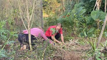 Duas pessoas estão agachadas em um jardim verde e exuberante, trabalhando juntas entre as plantas. Elas parecem concentradas, cuidando do solo e da jardinagem com cuidado.
