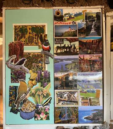 Auf einer Tafel ist eine Collage mit bunten Vögeln, Blumen, Samen und lebendigen Naturszenen zu sehen, daneben zahlreiche Postkarten von verschiedenen Reisezielen in den USA.