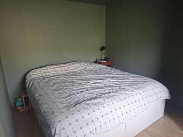 This bedroom features a large bed with a white patterned comforter, green walls, wood floors, and minimal furniture including a nightstand and a small lamp.