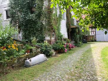 Ein bezaubernder Innenhof mit gepflasterten Wegen, üppigen Kletterpflanzen, bunten Blumen und Topfpflanzen schafft eine ruhige, gemütliche und einladende Gartenatmosphäre.