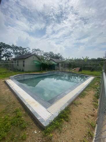 A small, rectangular outdoor swimming pool surrounded by a dirt and grassy area. Nearby, there are two houses, green plants, fencing, and a cloudy sky.